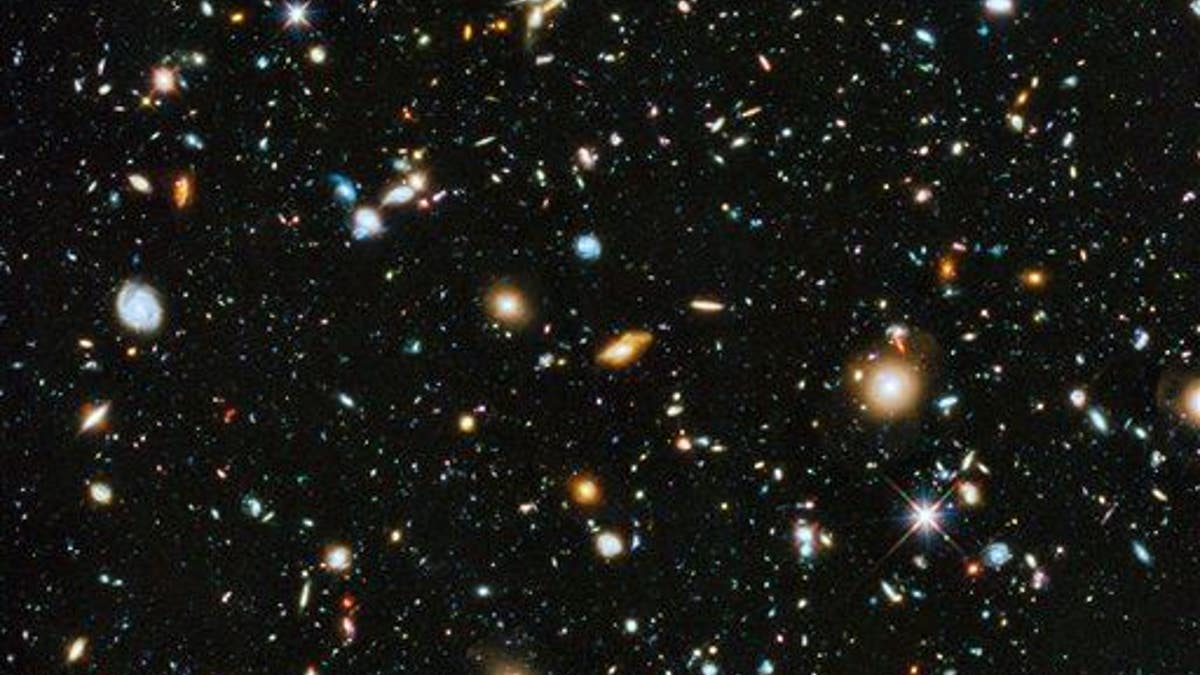 e31c8a9e-Color Cosmos