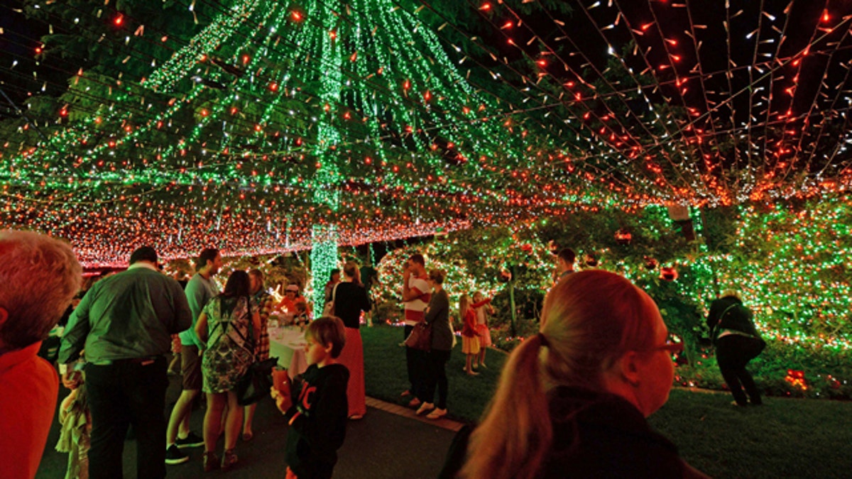 Australia Christmas Lights