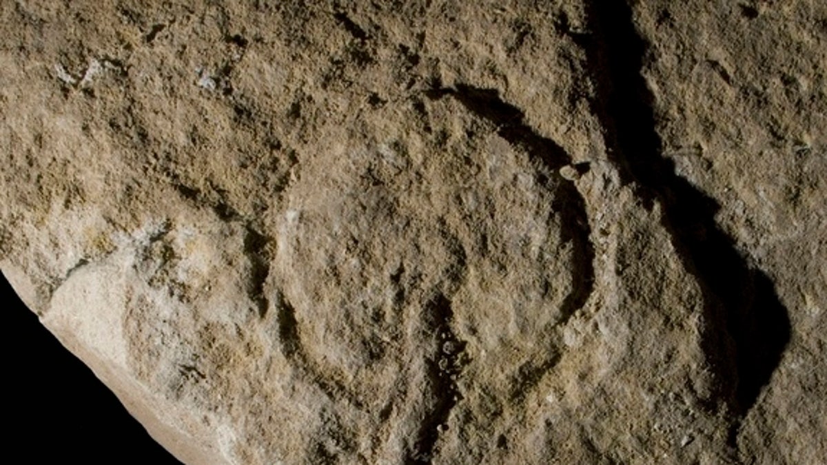 Female genitalia carvings are Europe's oldest rock art | Fox News