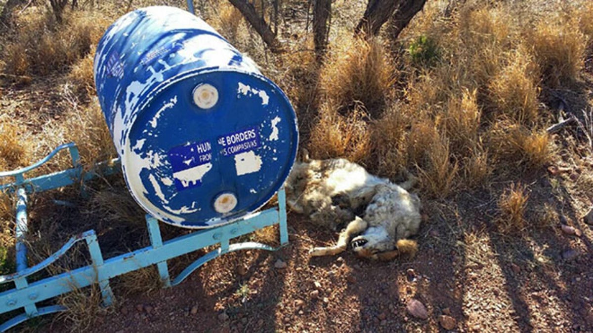 Border Stations Vandalized