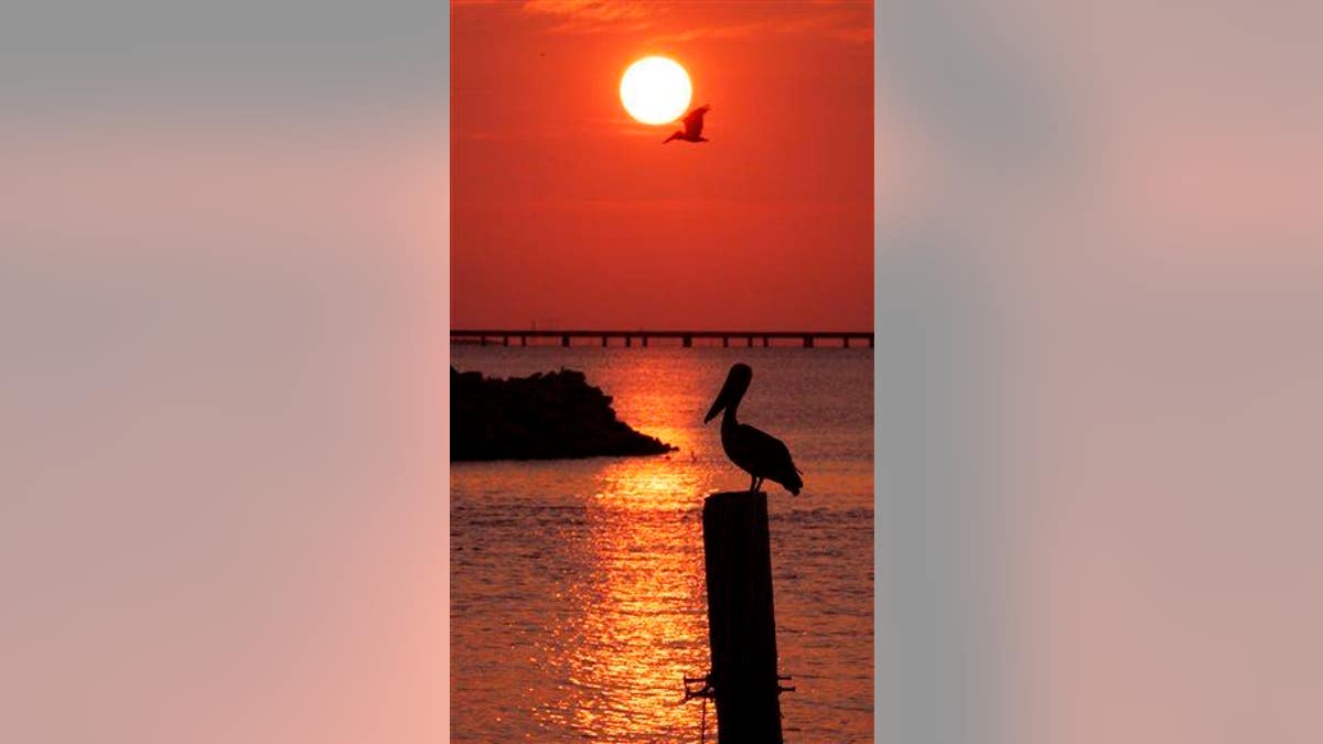 Pontchartrain Sunset