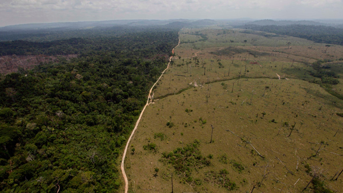 FILE - This Sept. 15, 2009 file photo shows a deforested area near Novo Progresso in Brazil's northern state of Para. Brazil's government says destruction of its Amazon rainforest has jumped by 28 percent. The sharp jump in deforestation came in the August 2012 through July 2013 period, the time when Brazil measures the annual destruction of the forest. (AP Photo/Andre Penner, File)