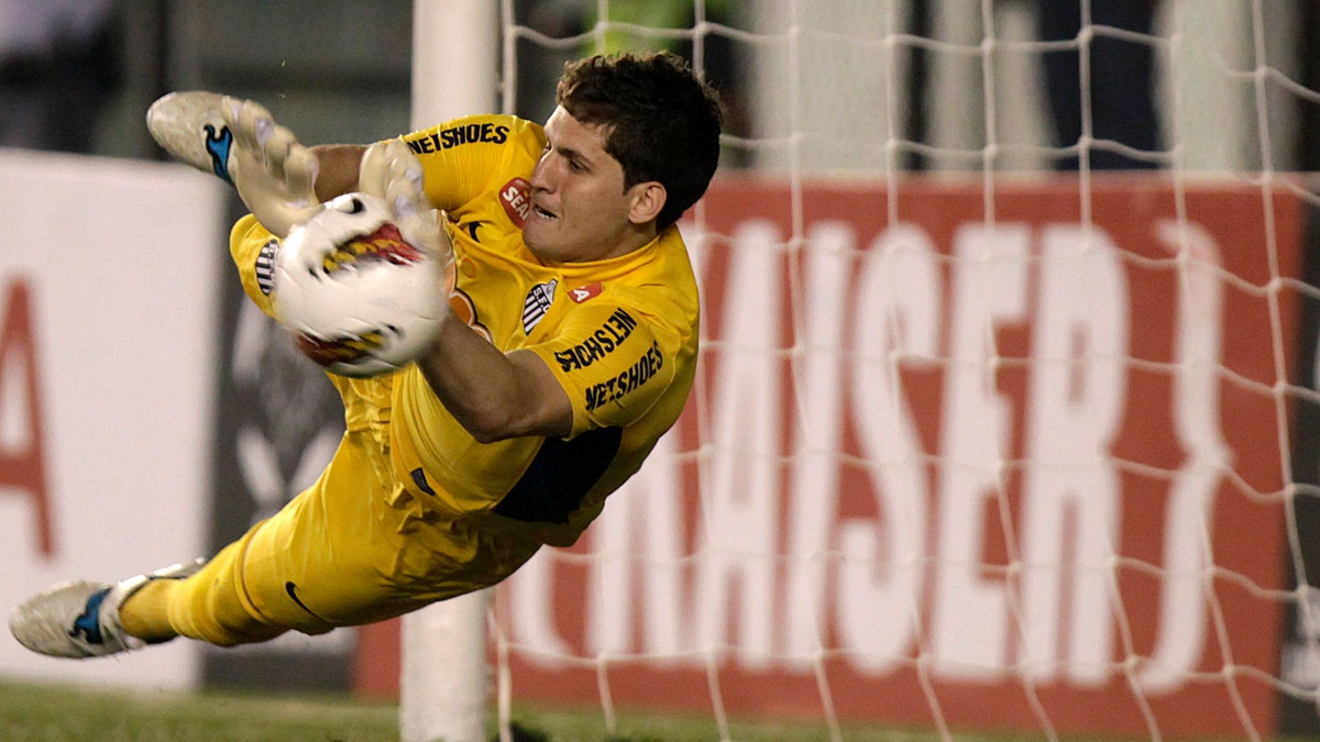 Brazil Goalkeeper Soccer