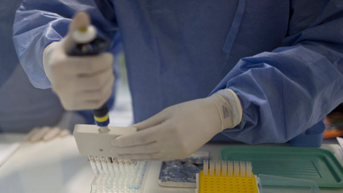 fa4eb3ab-Brazil Zika Virus