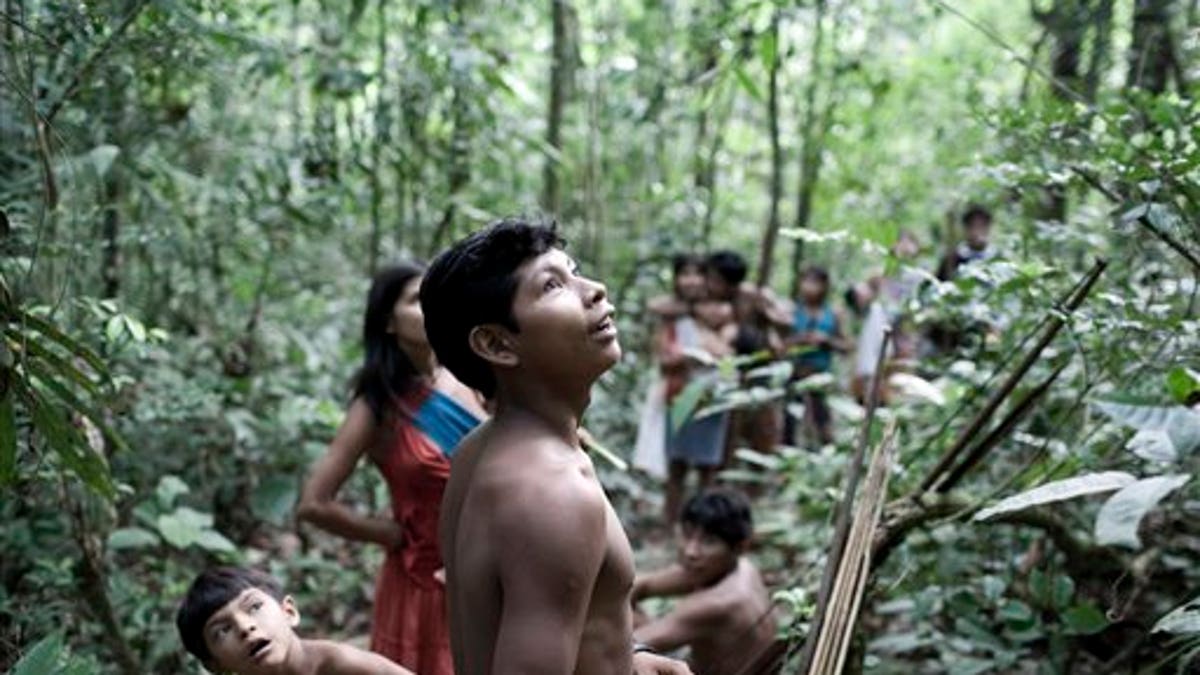 Brazil Endangered Indians