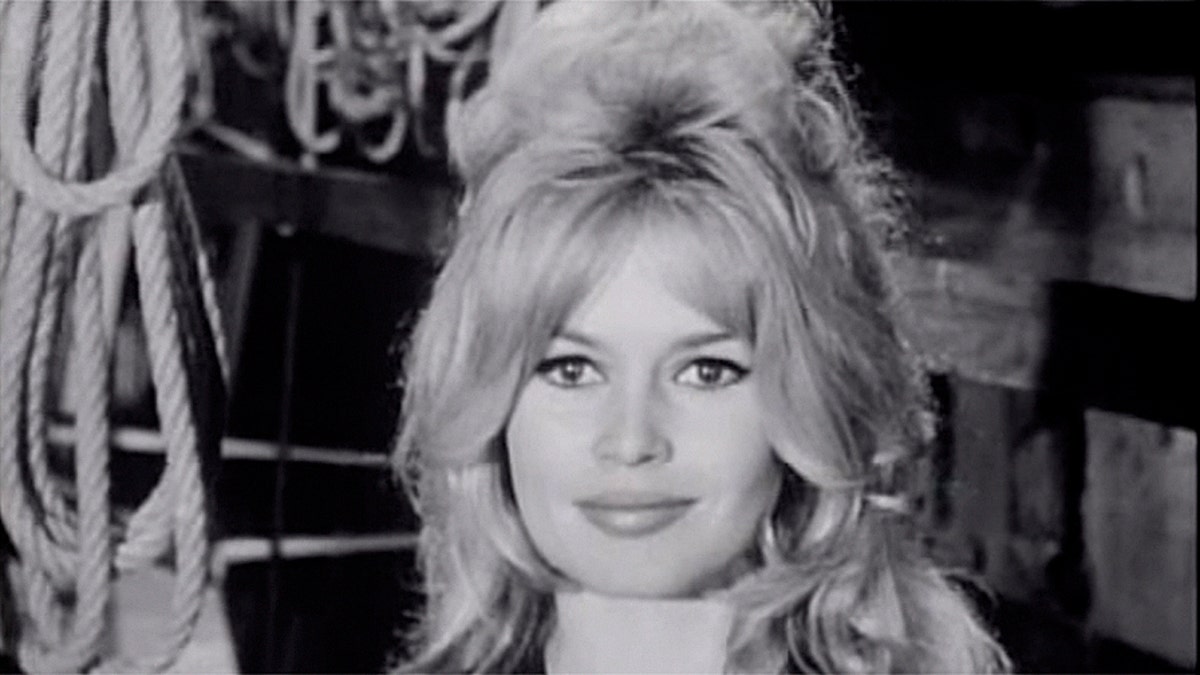 Brigitte Bardot blasts #MeToo movement as 'ridiculous,' 'hypocritical'