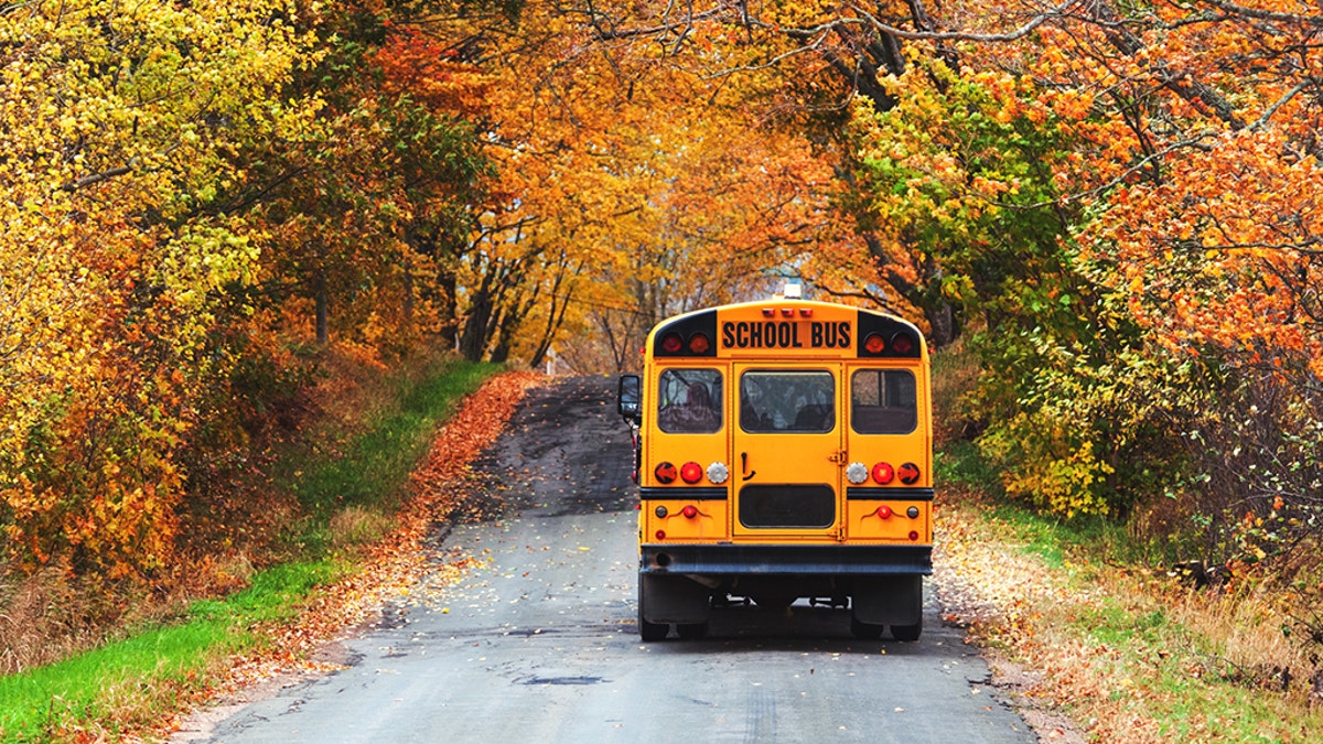 Bus iStock