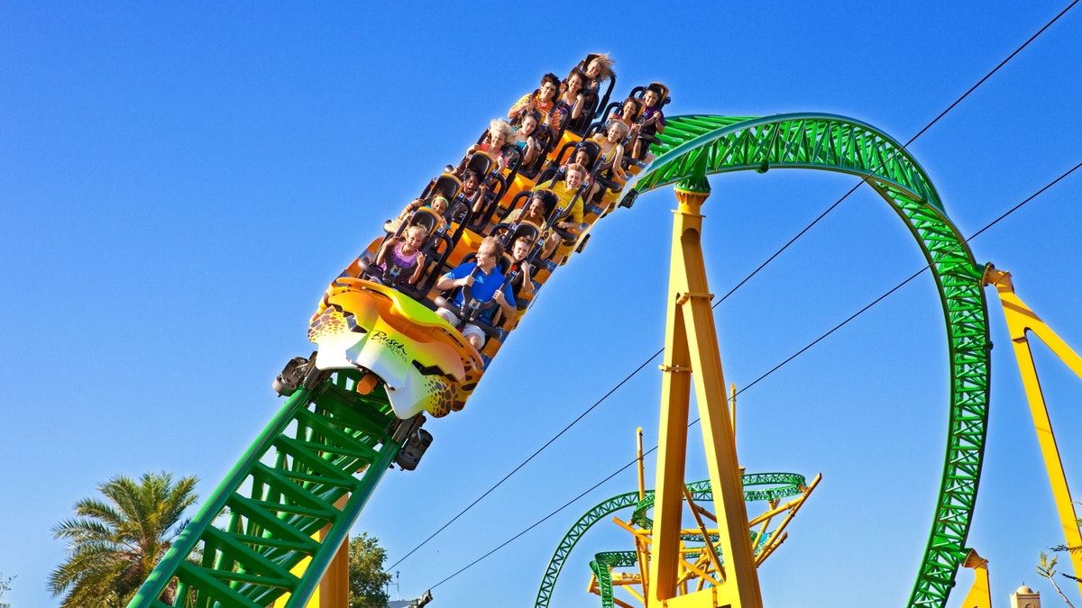 Cheetah Hunt, a high-speed roller coaster at Busch Gardens Tampa Bay, is one of the newest roller coasters, where a trio of launches catapults you at speeds pushing 60 mph.