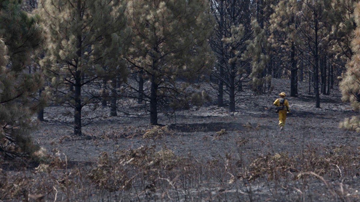 d619e503-California Wildfires