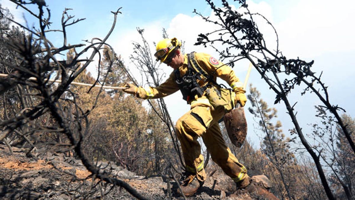 Kebakaran hutan di California Utara menghanguskan 100 rumah di kota perbatasan