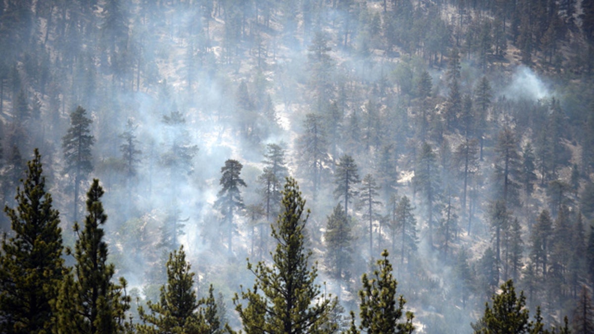3cdc34e0-California Wildfires