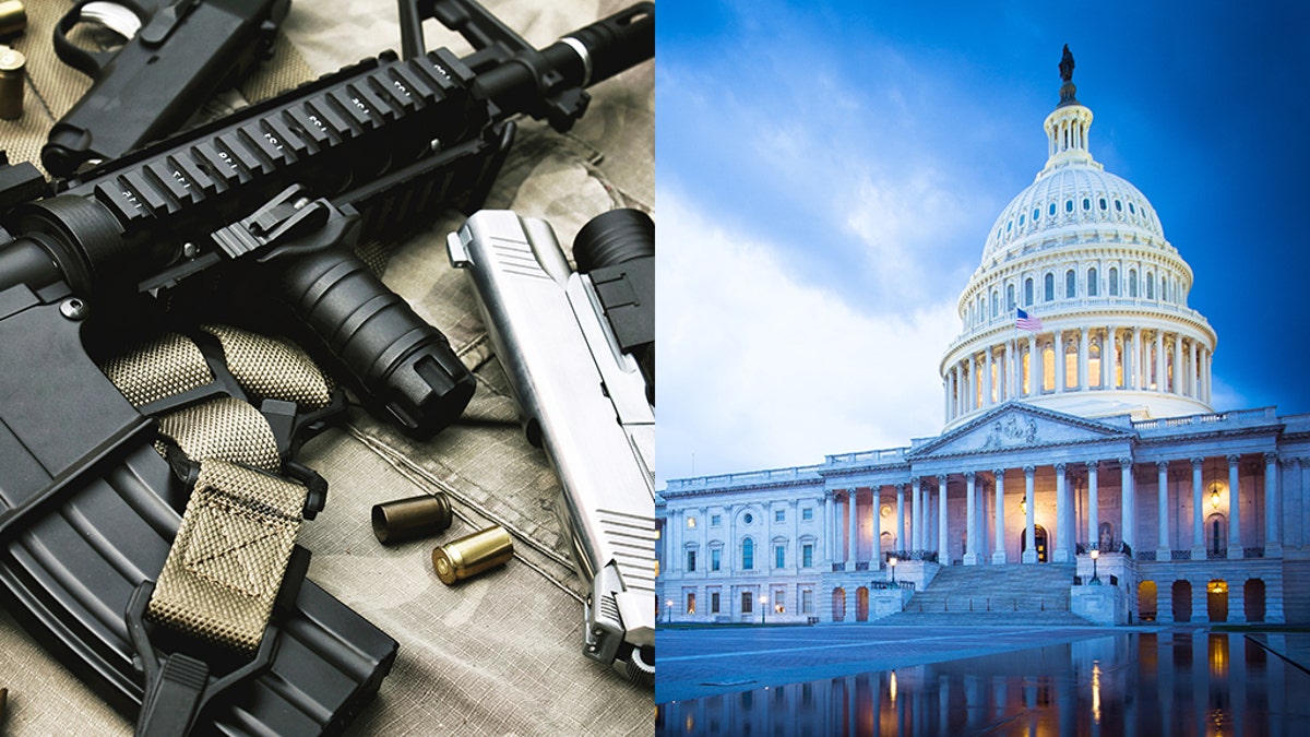 Capitol Guns