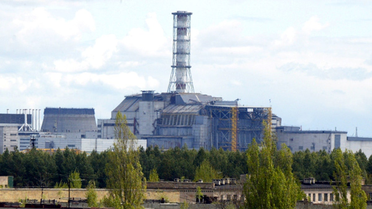 CHERNOBYL WILDELIFE