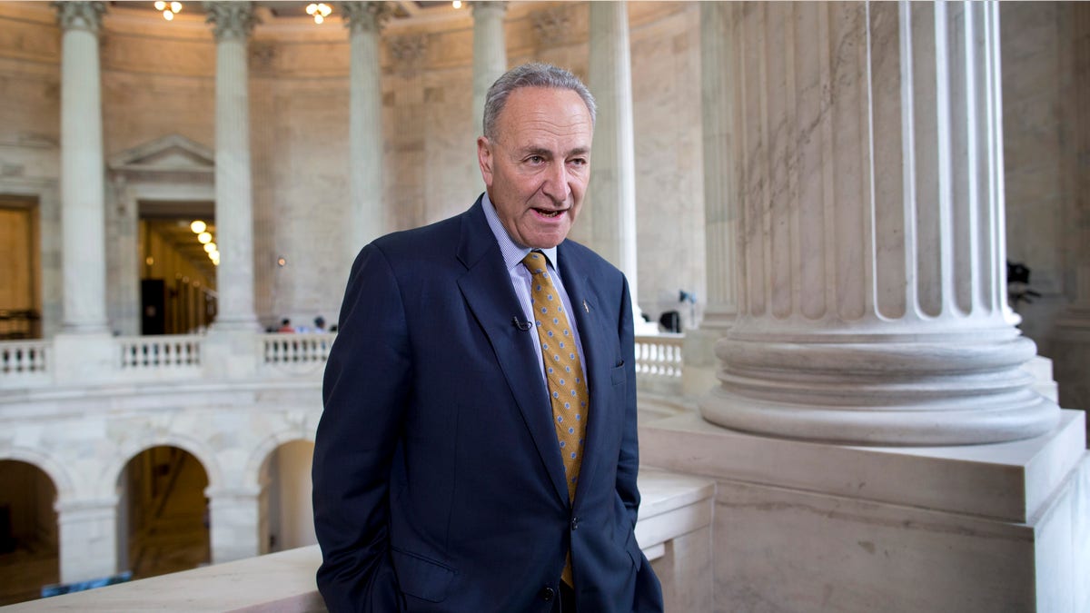Schumer Leaks Investigations