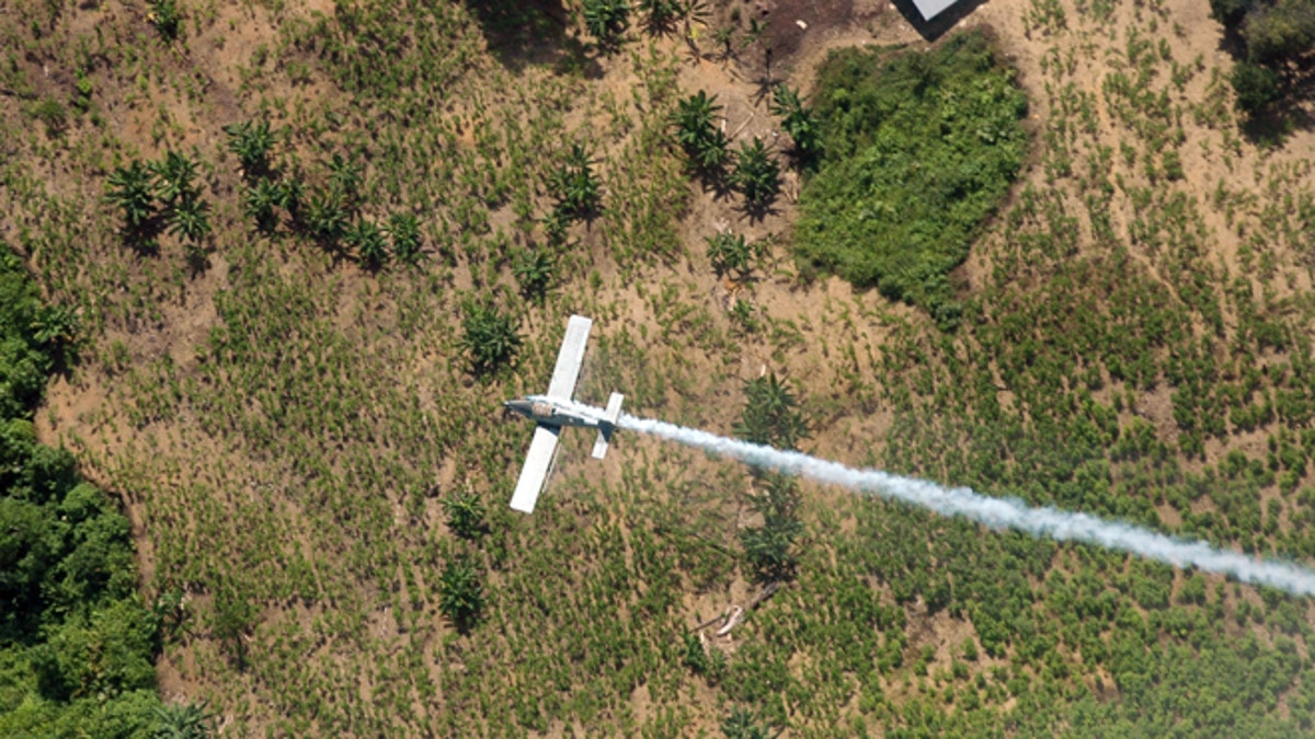 Reformasi Kolombia Melawan Strategi Obat Setelah Pengakhiran Penyemprotan Udara di AS