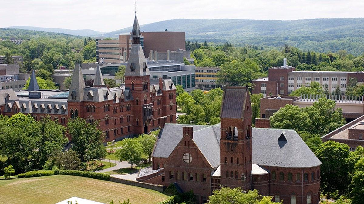 Cornell University buildings viewed from McGraw Tower