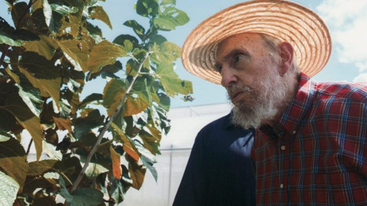 d6b02dcf-Cuba Fidel Castro