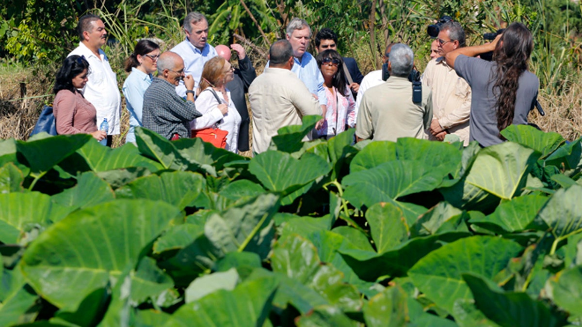Cuba US Agriculture