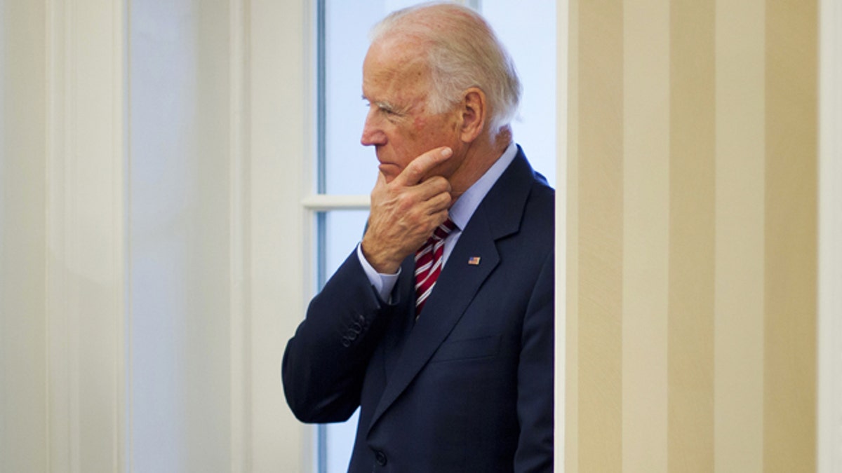 a7e6e875-DEM 2016 Biden