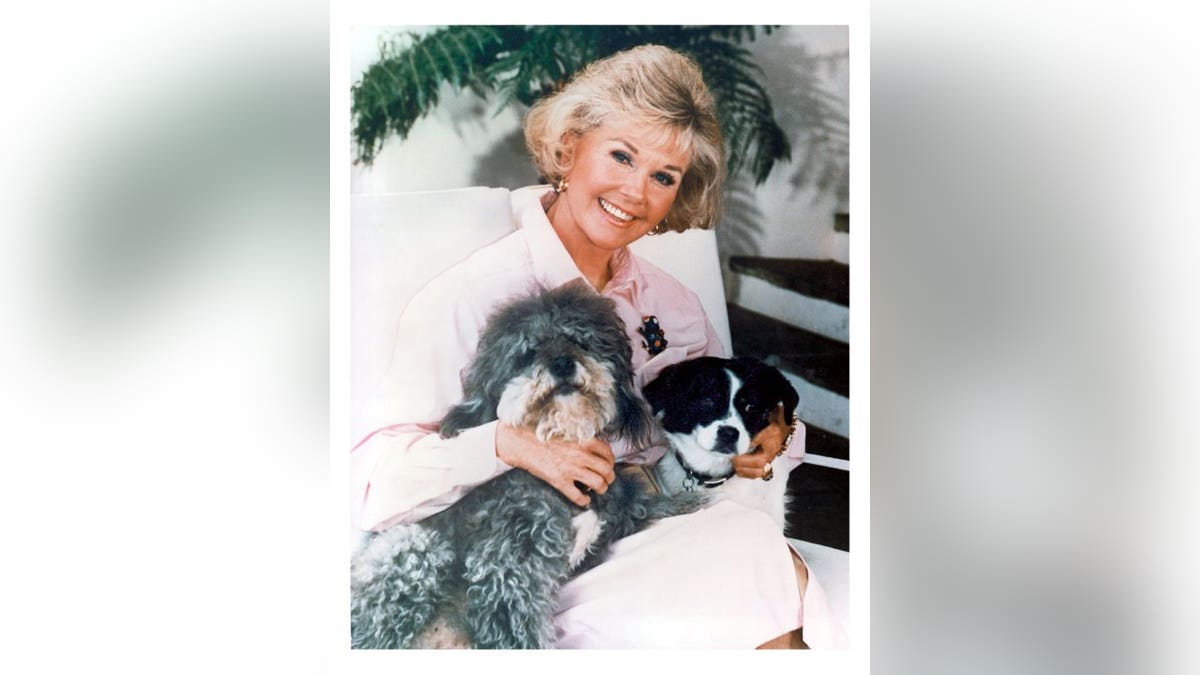 Doris Day 16