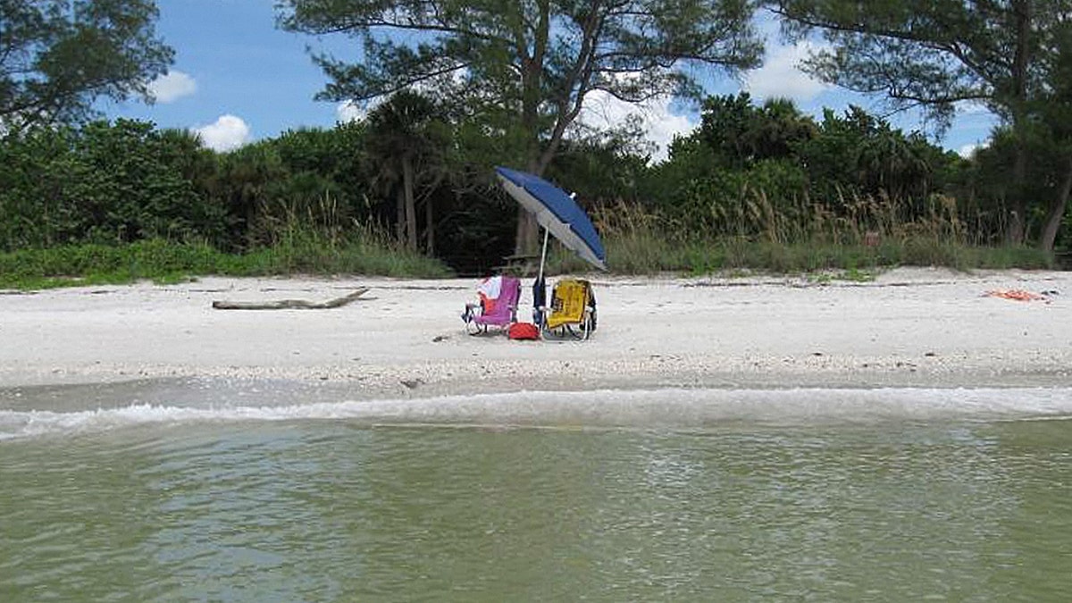 Delnor Wiggins Pass State Park Florida State parks