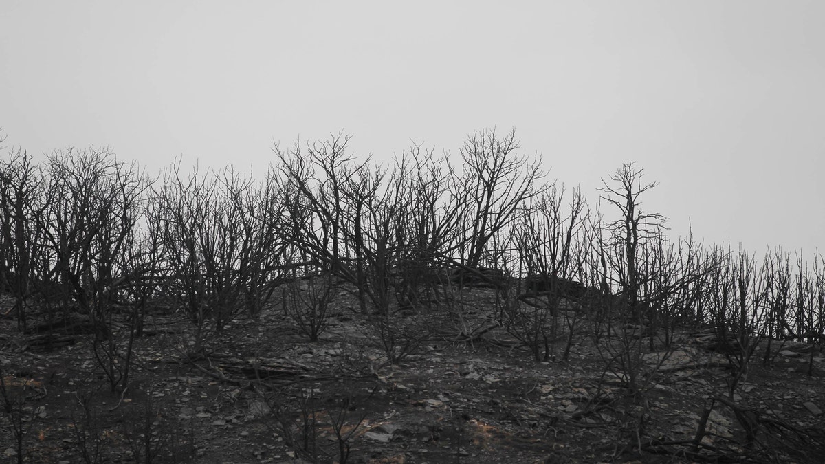 d9e812e2-Texas Wildfires