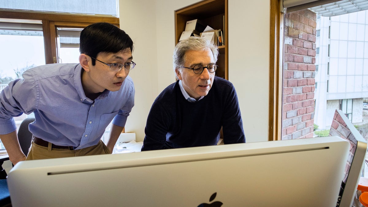 95548986-Diabetes Hormone