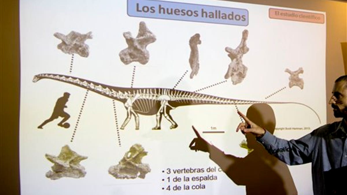 CORRECTION Argentina Dinosaur