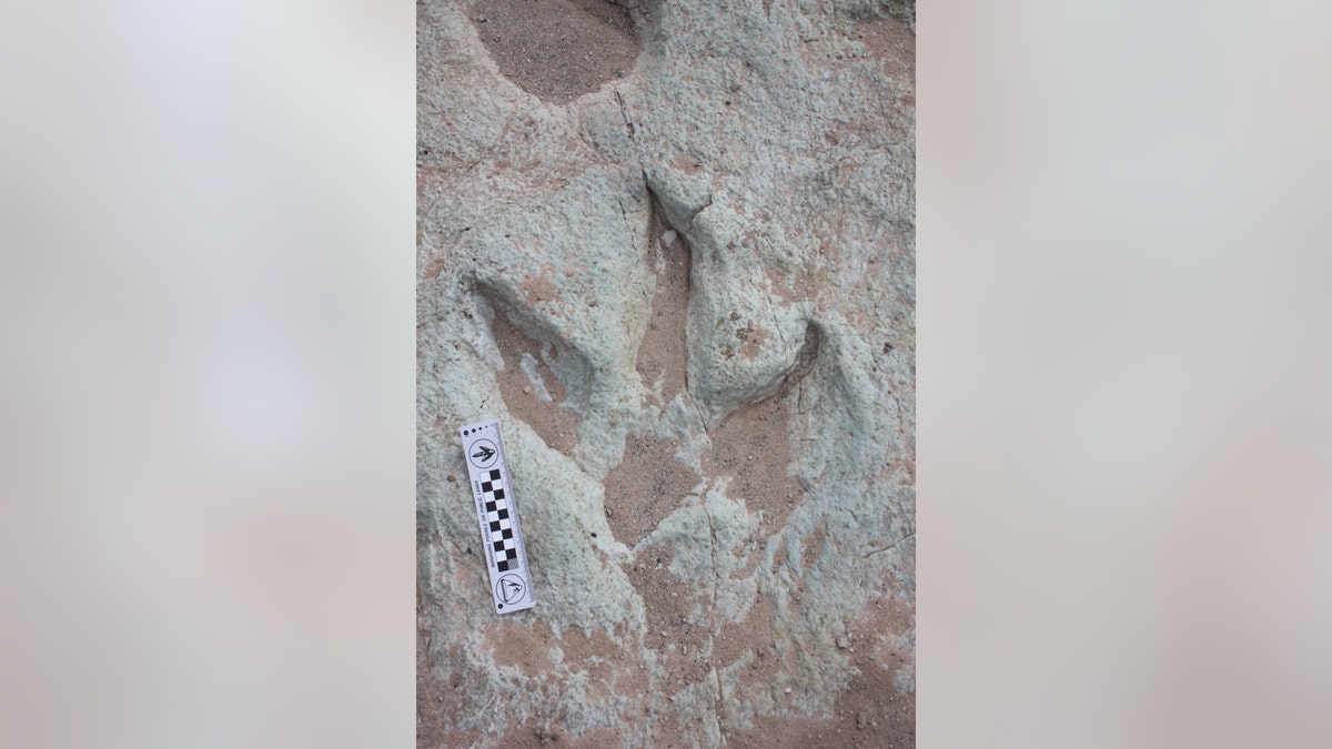 Dino Tracks Utah