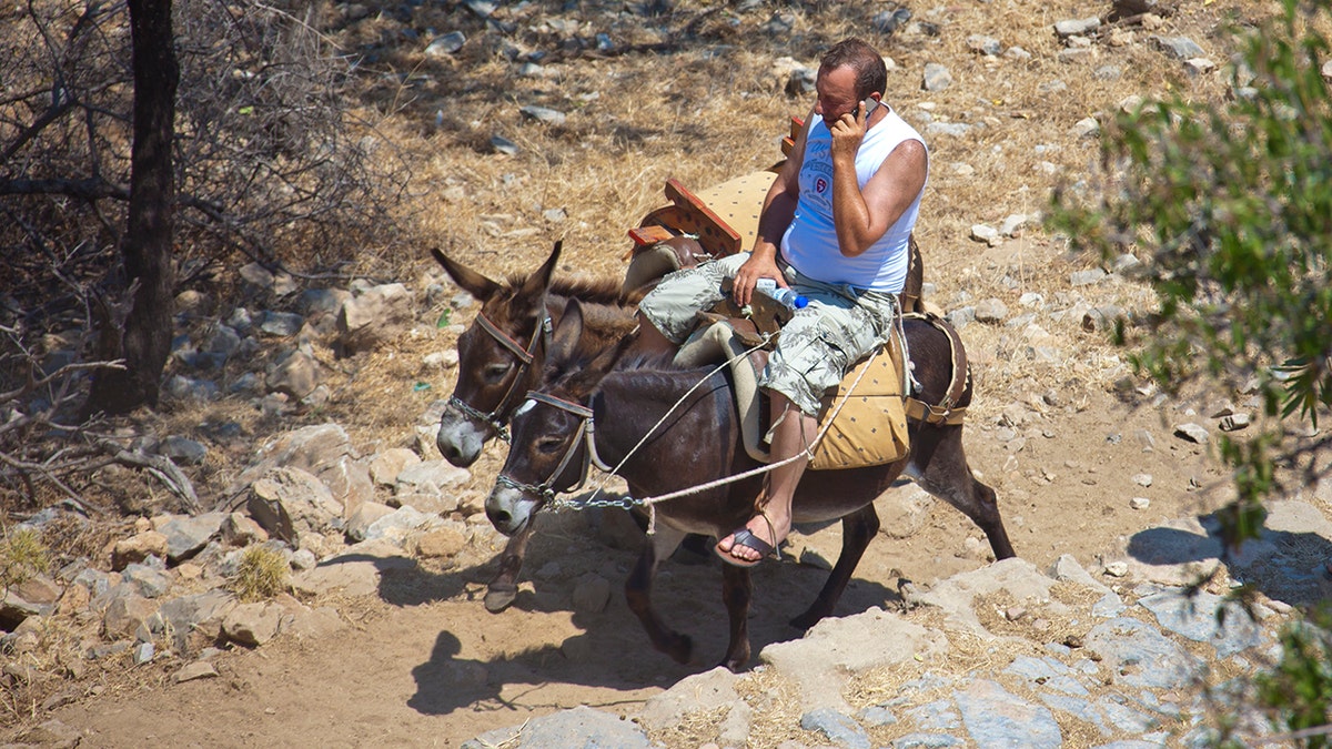 RHODES, GREECE - JUlLY 04: Man is talking on his mobile phone while riding donkeys up to the Acropolis of Lindos on July 04, 2010 in Lindos, Greece. The old town of Lindos is famous for its class listed monuments and the ancient Acropolis, listed at the  Unesco World Heritage. Rhodes is the largest of the Greek Dodecanes Islands. (Photo by EyesWideOpen/Getty Images)