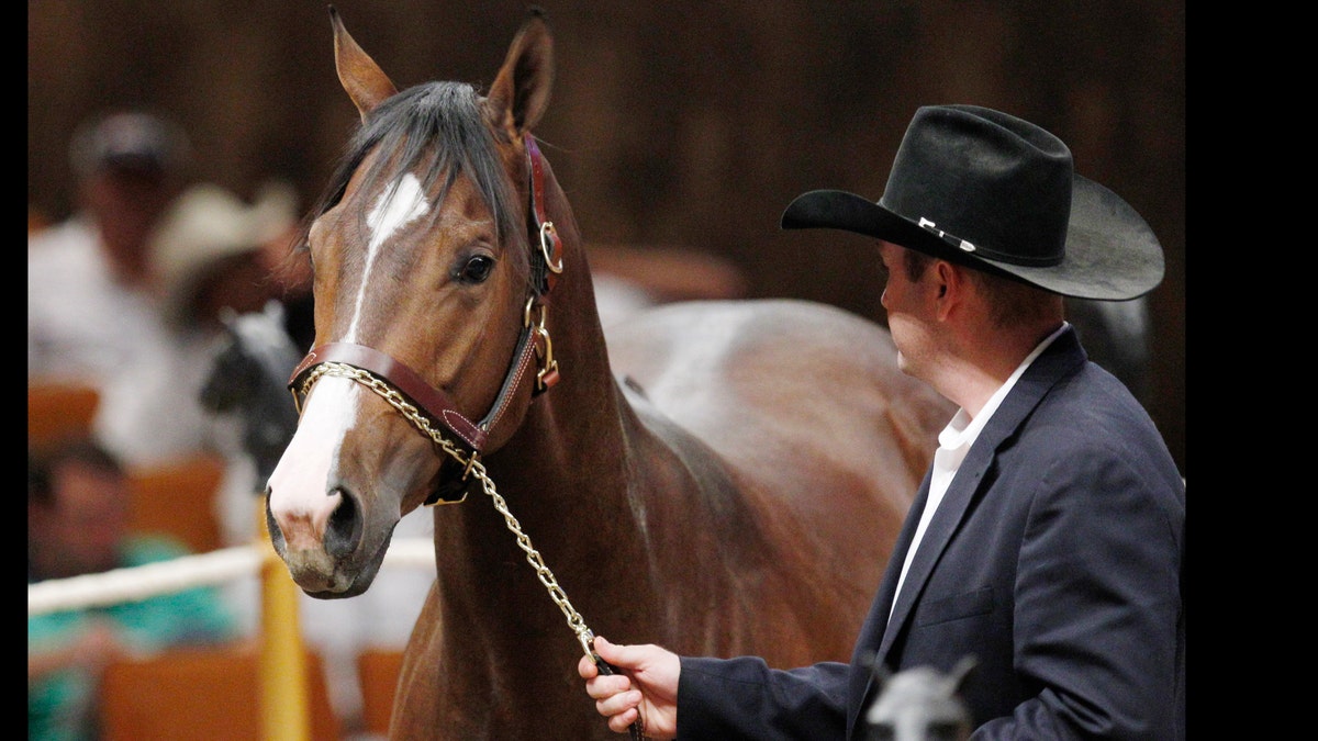 5024a779-Drug Raid Horse Track Trial