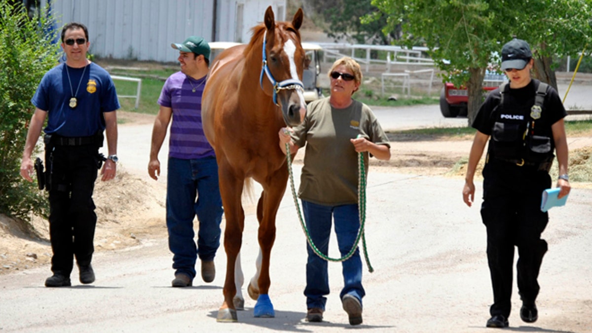 Drug Raid Horse Track