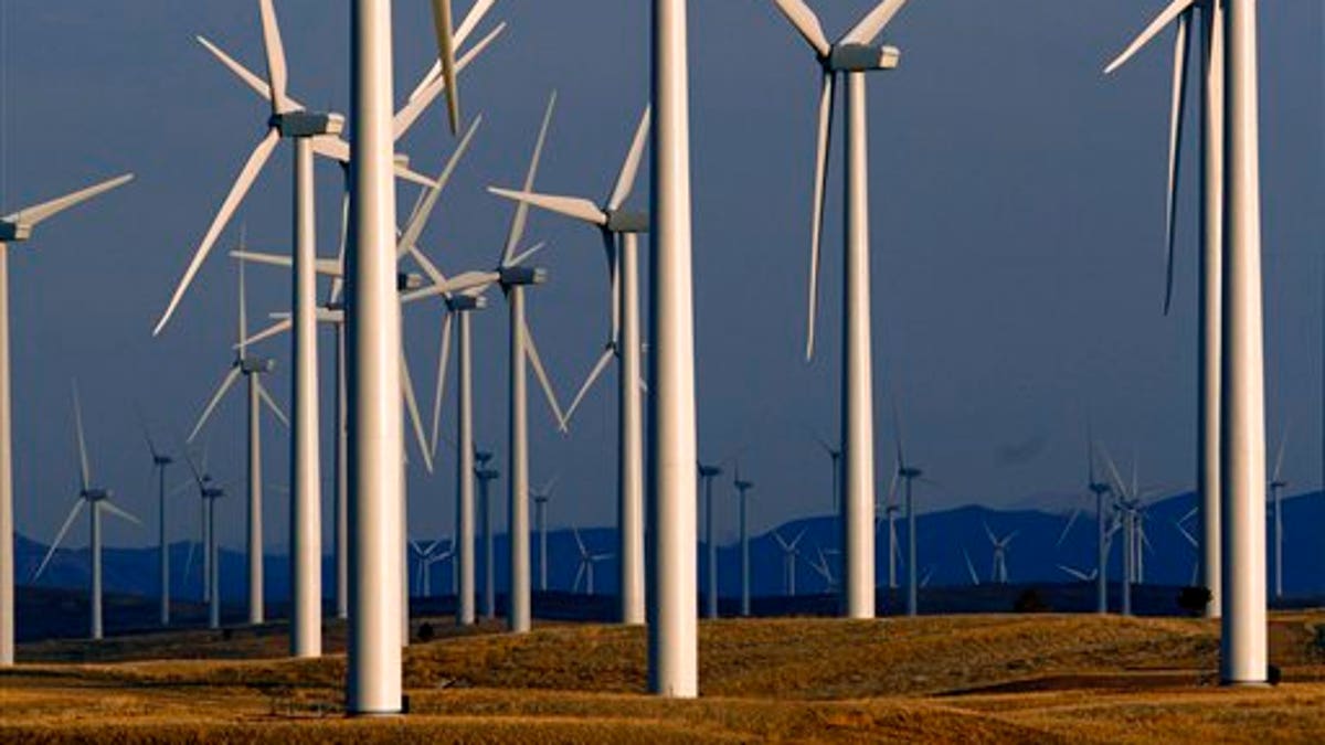 Wind farm for renewable energy