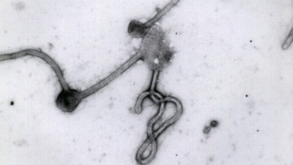 Ebola Source