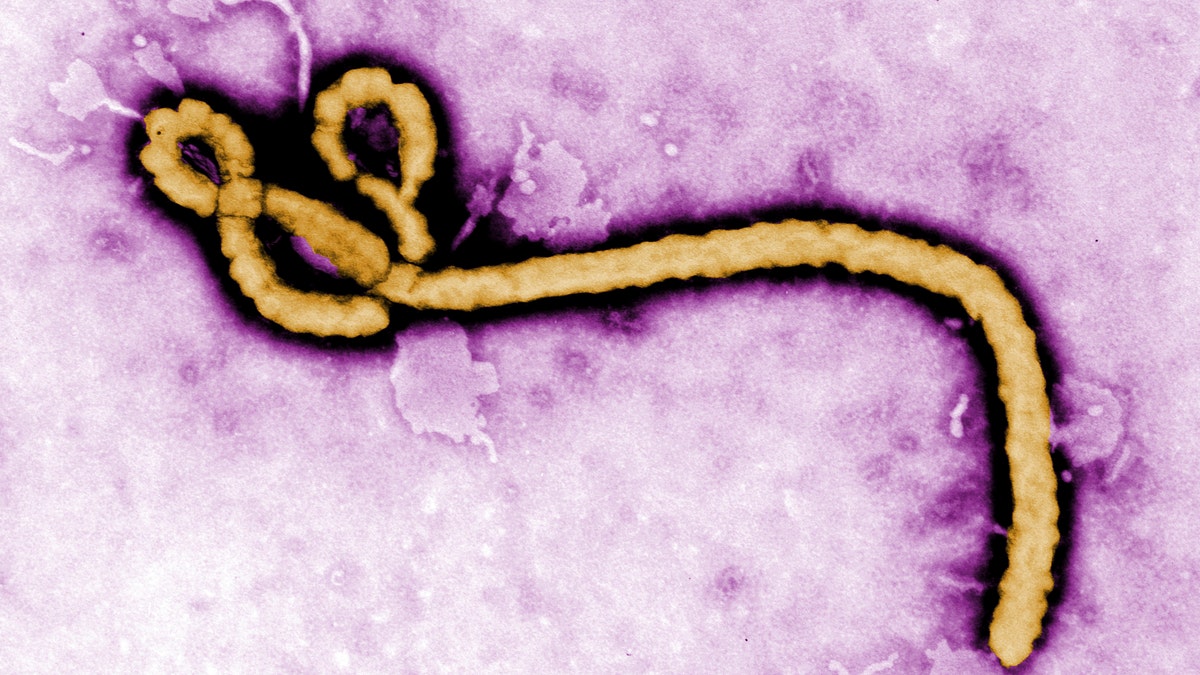 HEALTH-EBOLA/USA