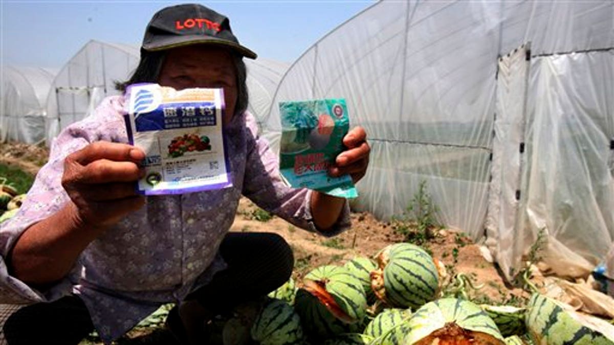 China Exploding Watermelons