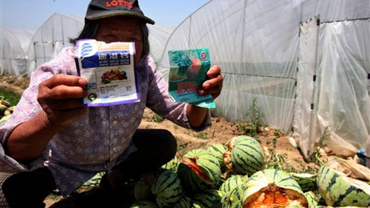 China Exploding Watermelons