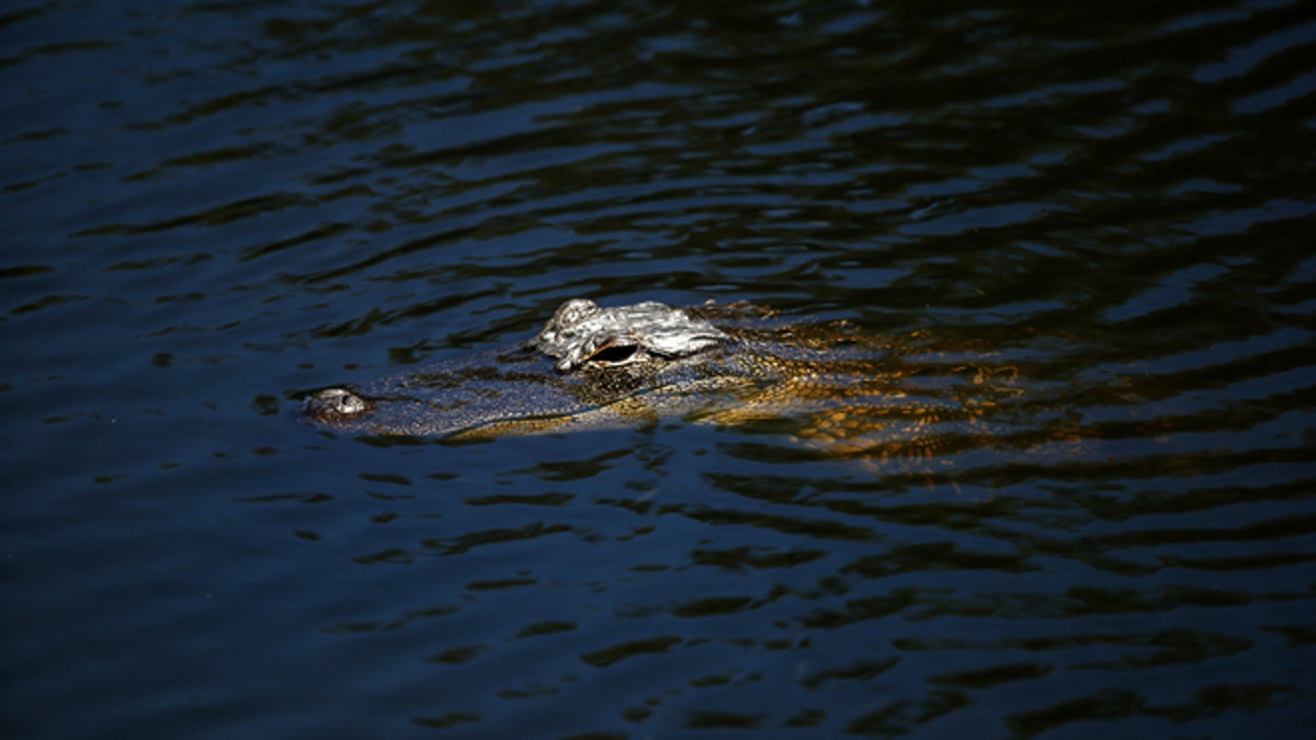 592308147SL014_RBC_Heritage