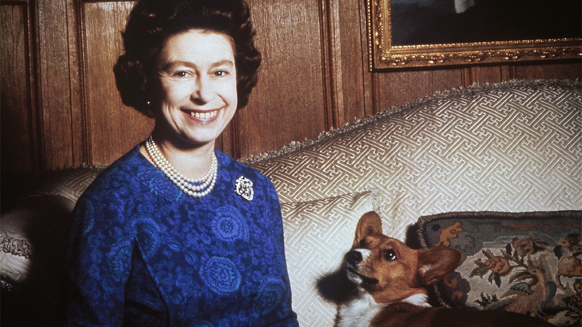 Queen Elizabeth II with a corgi, 1970. (Photo by Keystione/Hulton Archive/Getty Images)