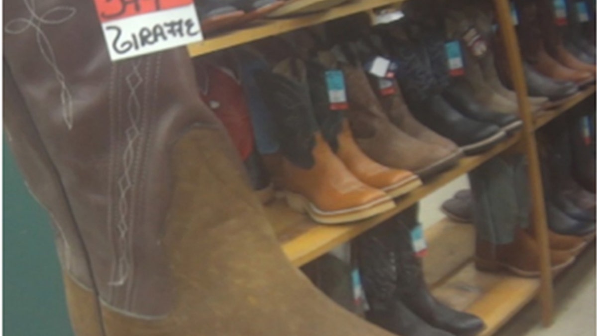 Giraffe boots at a retailer in Texas