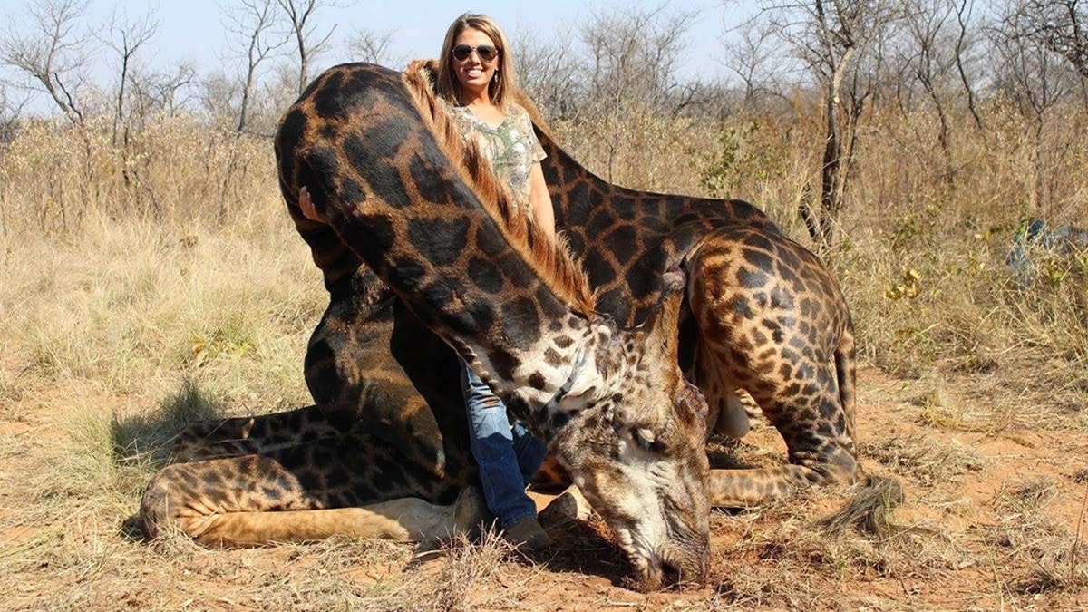 American hunter's images of her black giraffe 'trophy kill' spark outrage | Fox News American hunter's images of her black giraffe 'trophy kill' spark outrage | Fox News