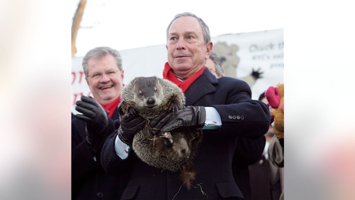 Groundhogs Behaving Badly