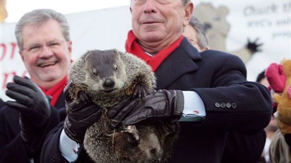 Groundhogs Behaving Badly