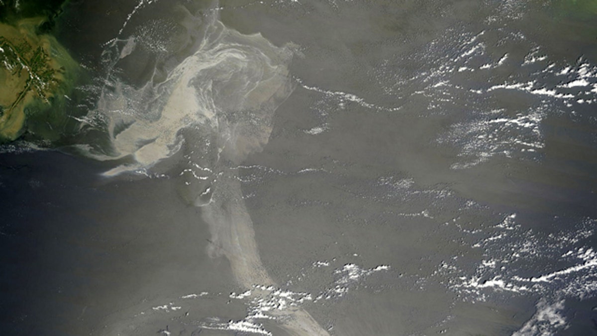 75458488-Gulf Oil Spill