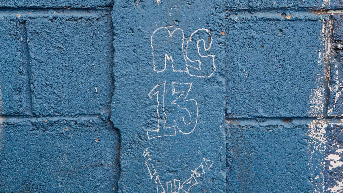 In this 2014 file photo, MS-13 gang graffiti is seen next to the door of the Jose Ramon Montoya school in Tegucigalpa, Honduras.