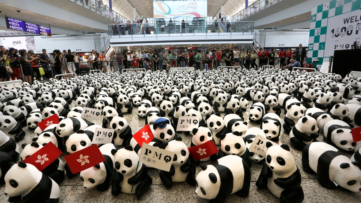 Hong Kong Panda Tour
