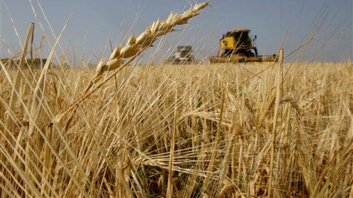 Russia Wheat Drought
