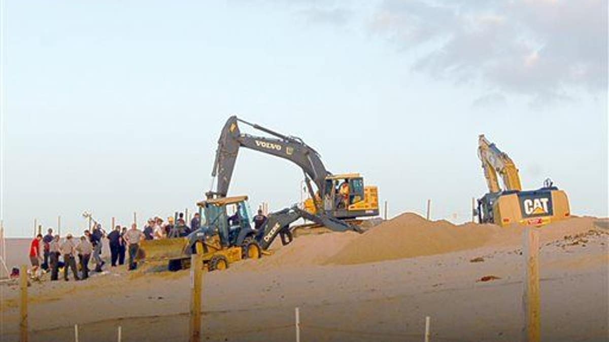 Boiy Rescued Sand Dune