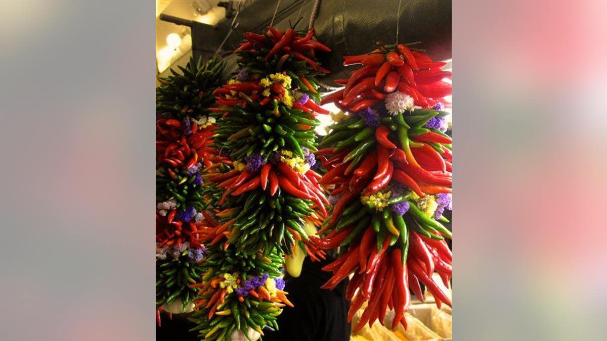 Gardening-Home Brewing