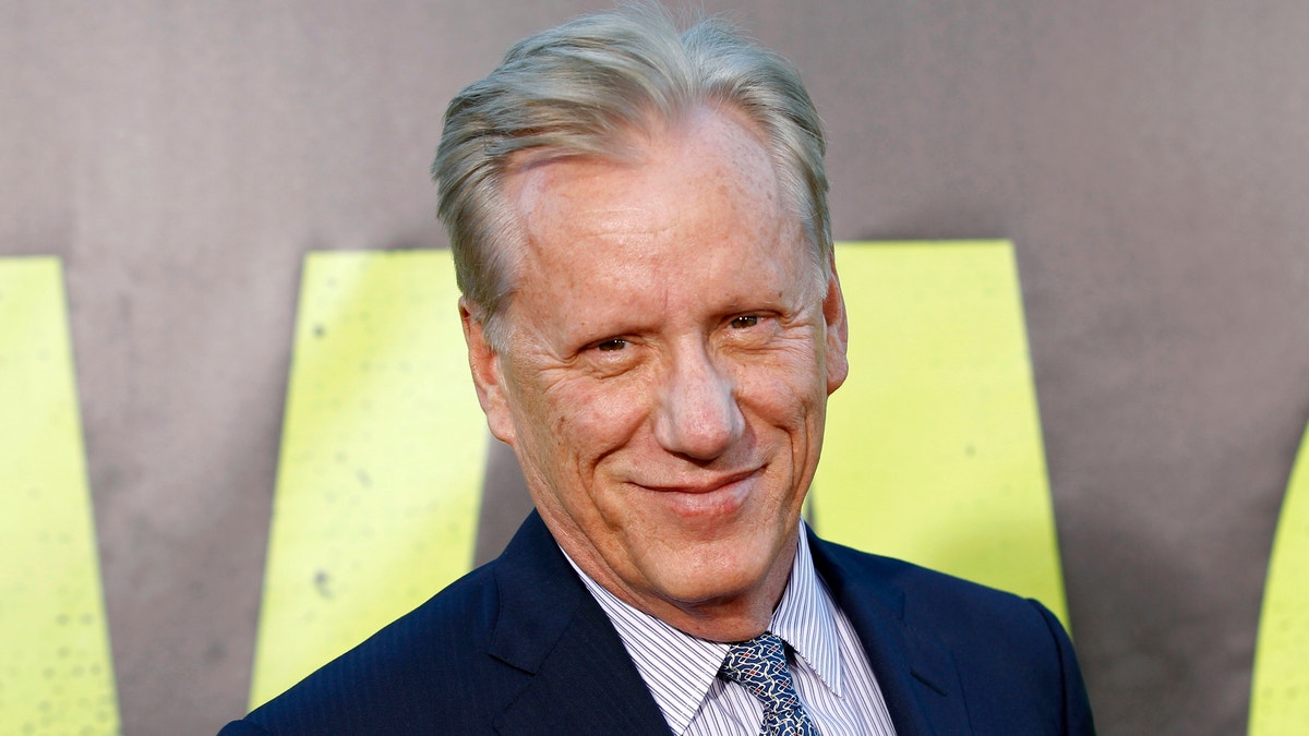 Actor James Woods arrives at the premiere of the film "Savages" in Los Angeles June 25, 2012. 